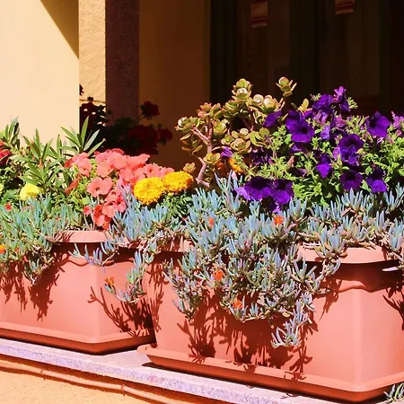 Bed & Breakfast La Pianedda Castelsardo